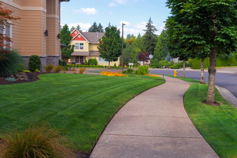 Sidewalk Concrete Service